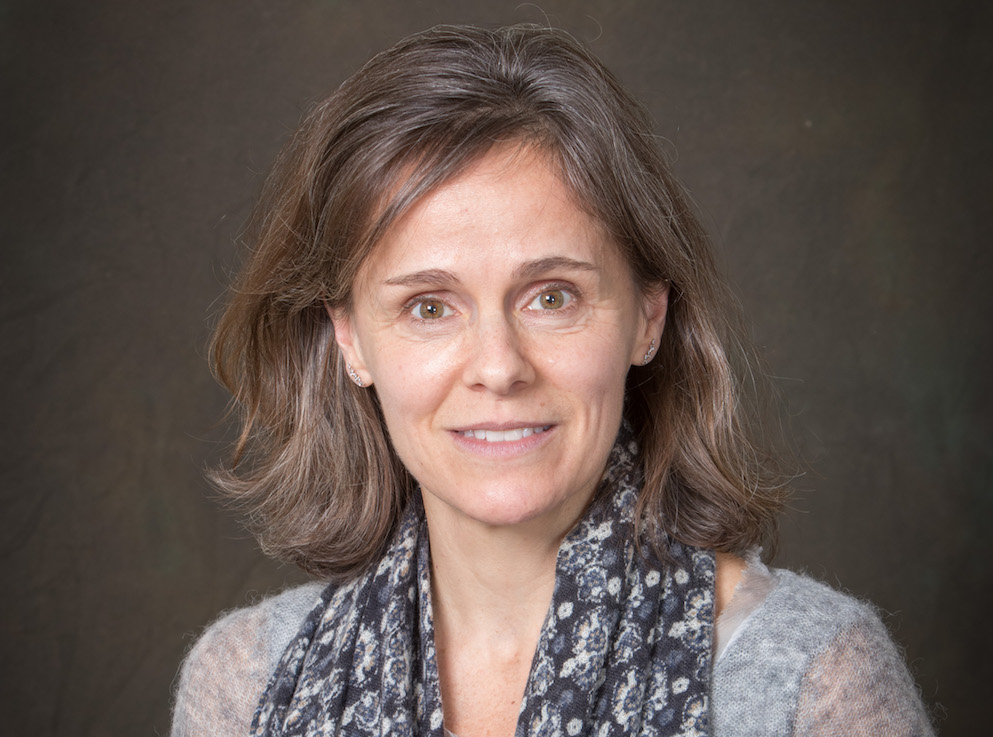 Read more about the article Cara Cilano Named Associate Dean for Undergraduate Education